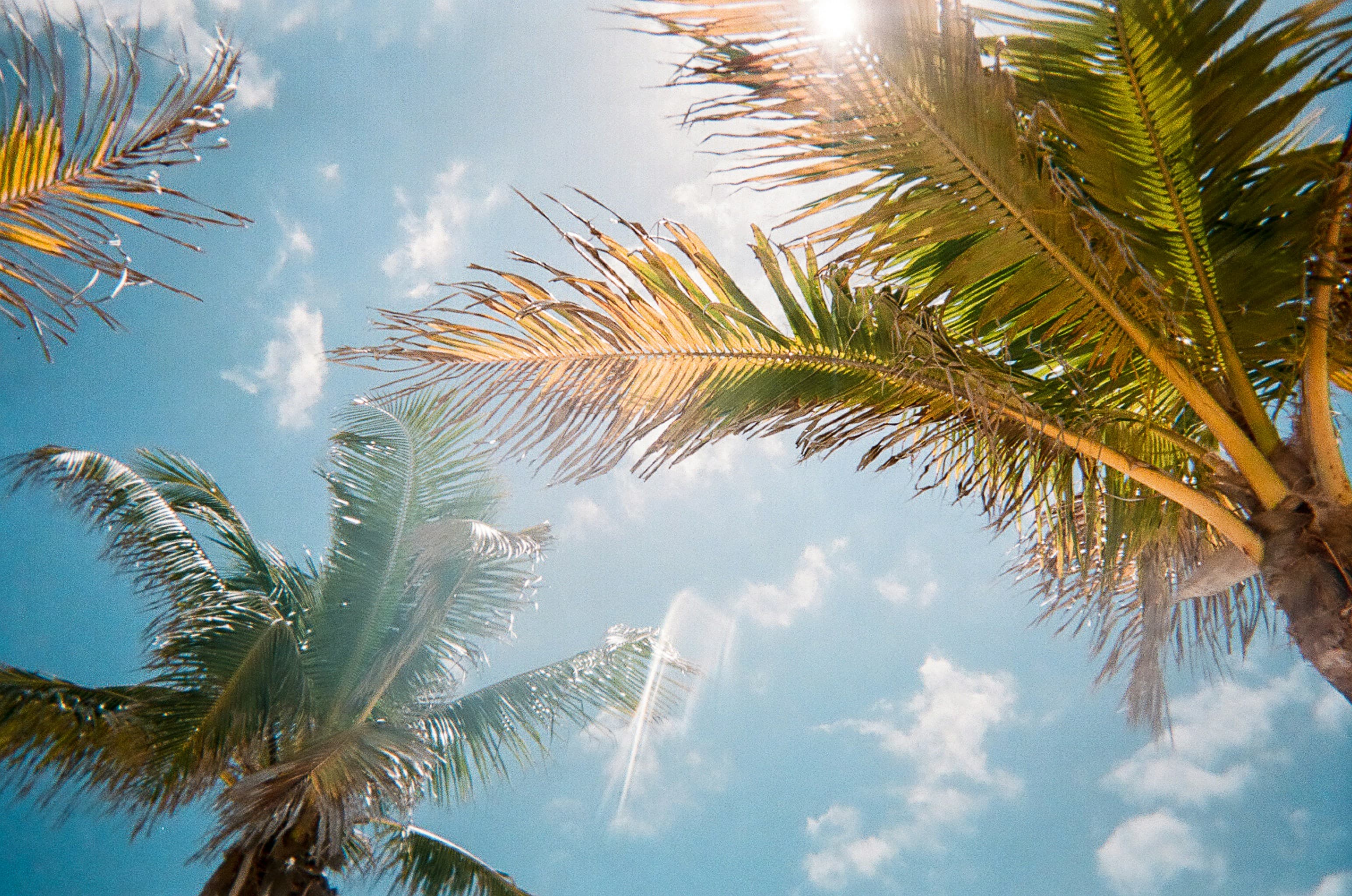 South Florida waterfront